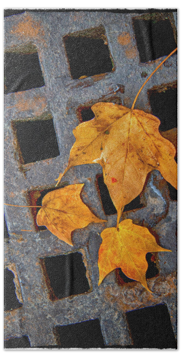 Leaves Bath Towel featuring the photograph Grateful Leaves by Harriet Feagin