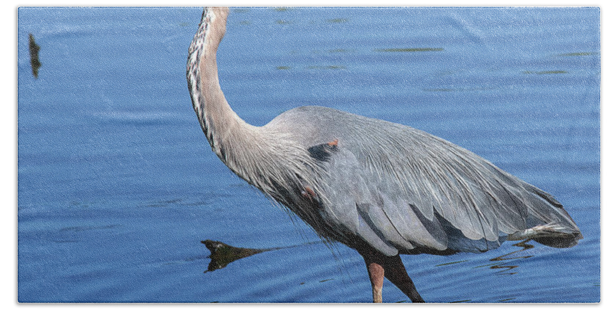 Nature Bath Towel featuring the photograph Great Blue Heron DMSB0167 by Gerry Gantt