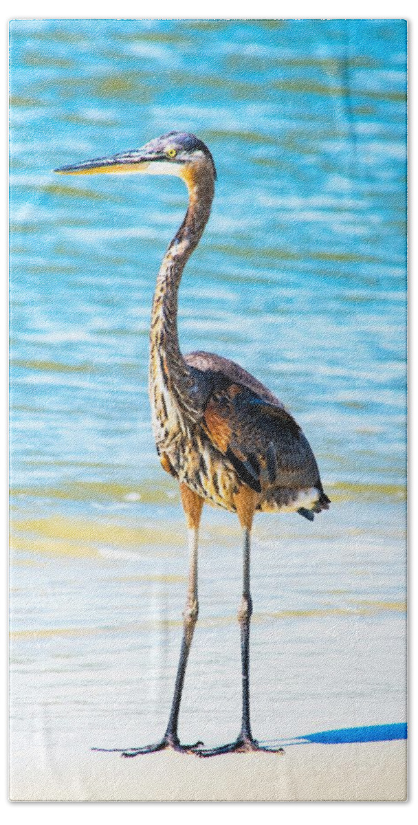 Great Blue Heron Hand Towel featuring the photograph Great Blue Heron in the Surf by Mary Ann Artz