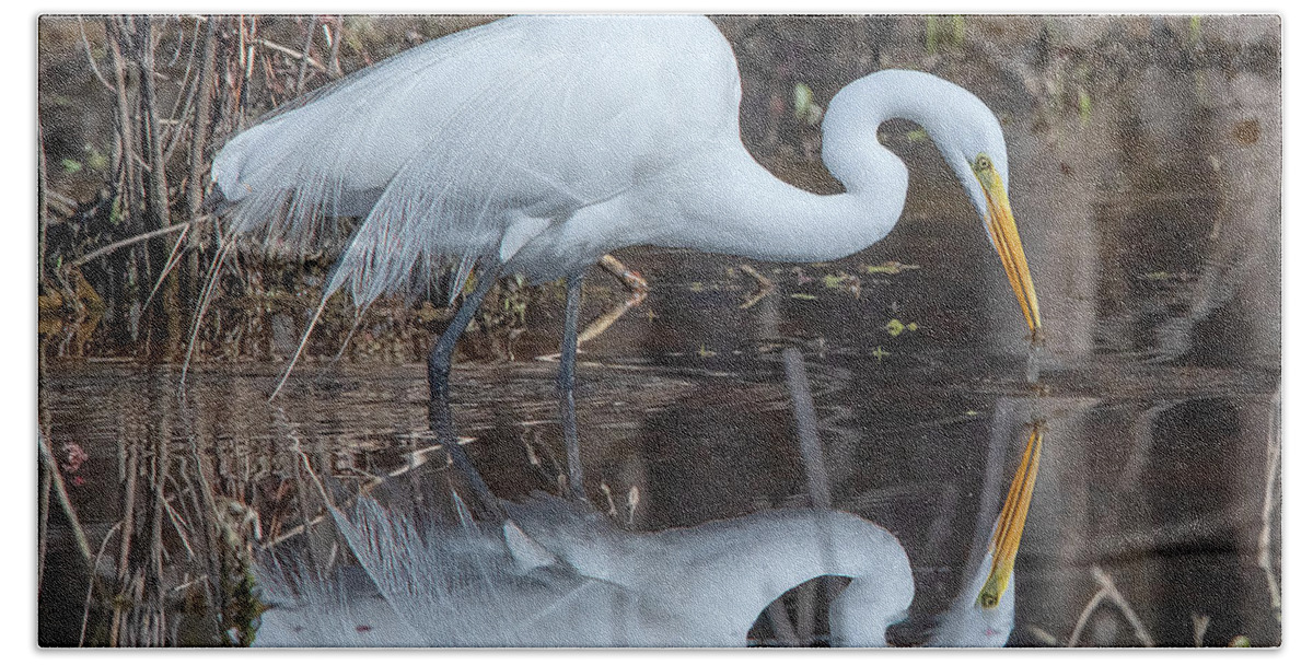 Nature Bath Towel featuring the photograph Great Egret in Breeding Plumage DMSB0154 by Gerry Gantt