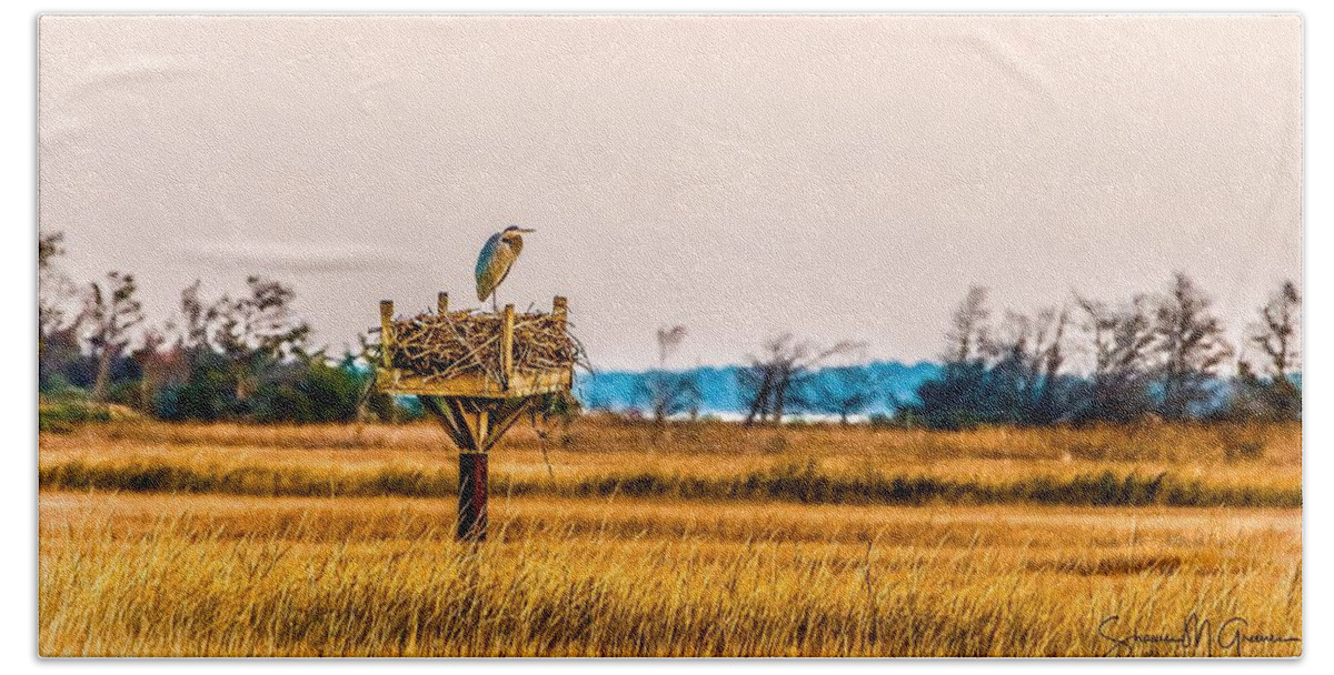 Osprey Hand Towel featuring the photograph Great Heron on Osprey's Nest by Shawn M Greener