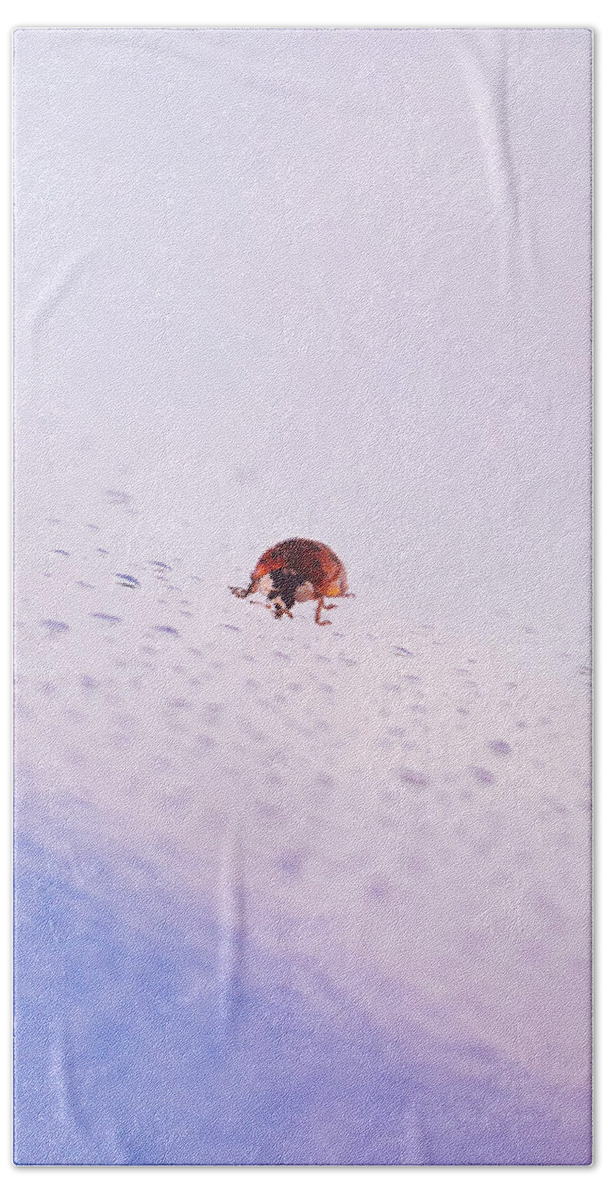 Ladybug Bath Towel featuring the photograph Great Return Of Ladybug by Jaroslav Buna