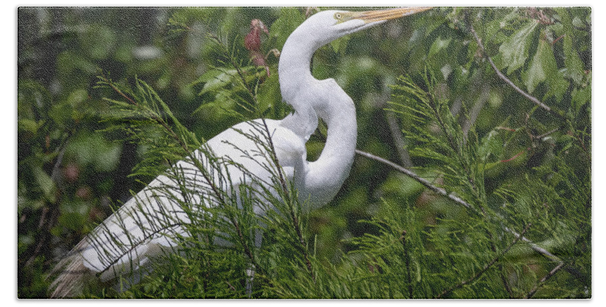 Shorebirds Bath Towel featuring the photograph Great White Heron by JASawyer Imaging