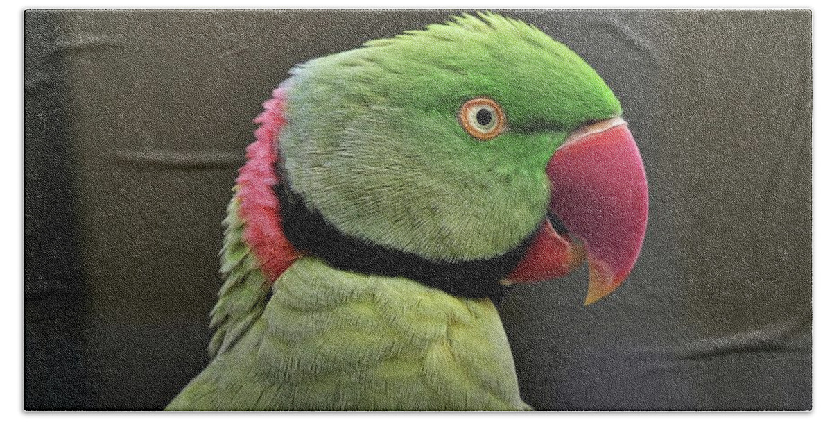 Bird Hand Towel featuring the photograph Green parrot by Martin Smith
