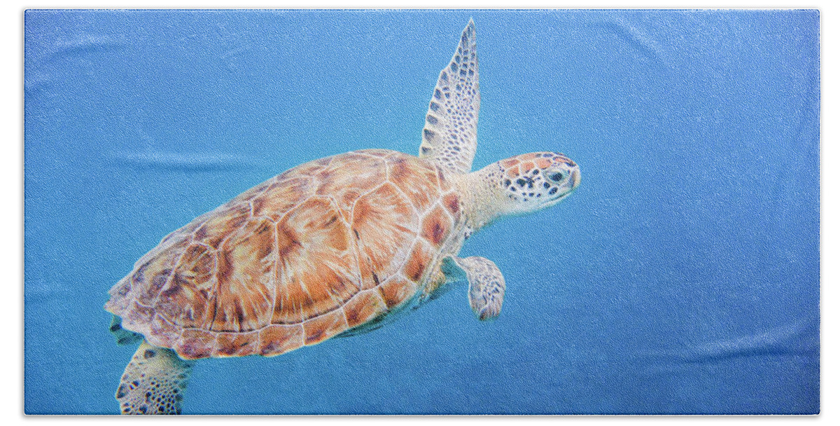 Turtle Hand Towel featuring the photograph Green Sea Turtle swimming by Mark Hunter