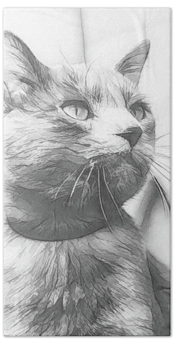 Art Bath Towel featuring the digital art Grey Cat Posing, Black and White Sketch by Rick Deacon
