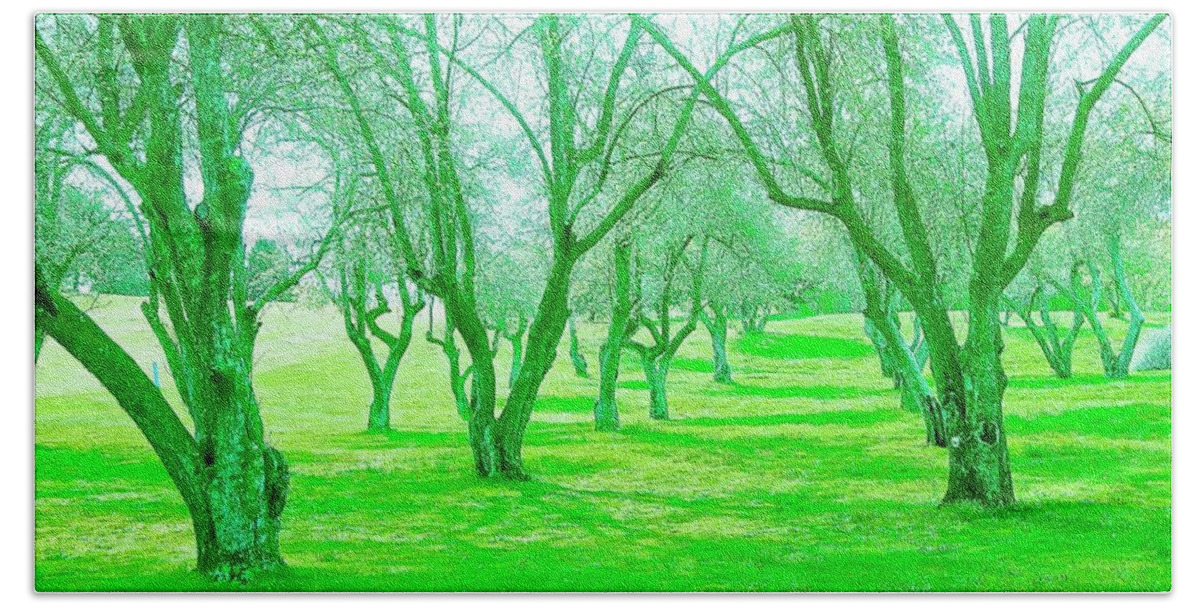 Green Trees Hand Towel featuring the photograph Grove 3 by Marty Klar