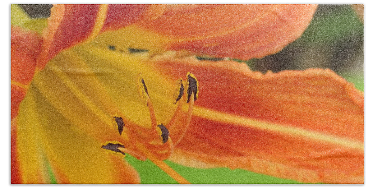 Day Lily Bath Towel featuring the photograph Guardian Serpents by David Coblitz