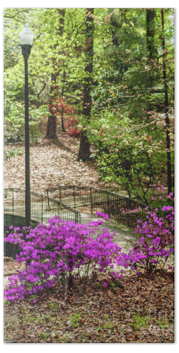 Guignard Park Bath Towel featuring the photograph Guignard Park-2 by Charles Hite