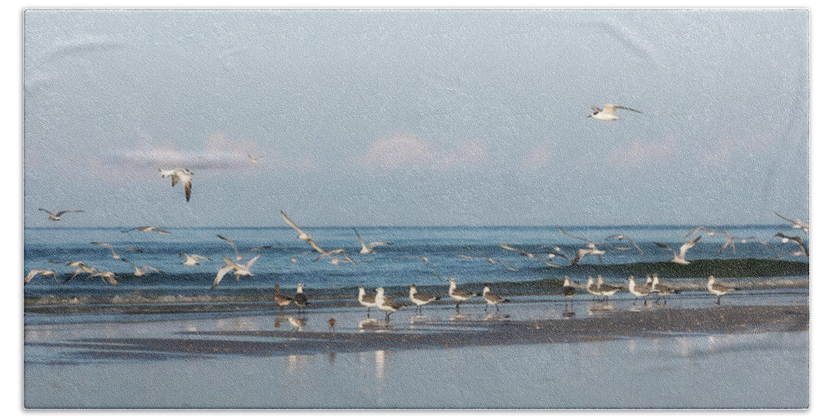 Gulls Bath Towel featuring the photograph Gulls and Terns on the Beach by Lisa Malecki