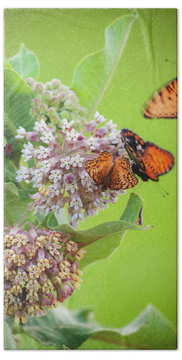 Chase County Hand Towel featuring the photograph Head Over Heals for Milkweed by Jeff Phillippi