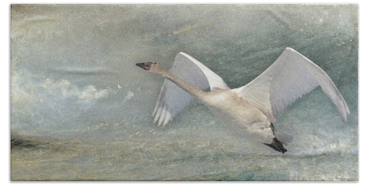 Swan Hand Towel featuring the photograph Heading North by Vivian Martin
