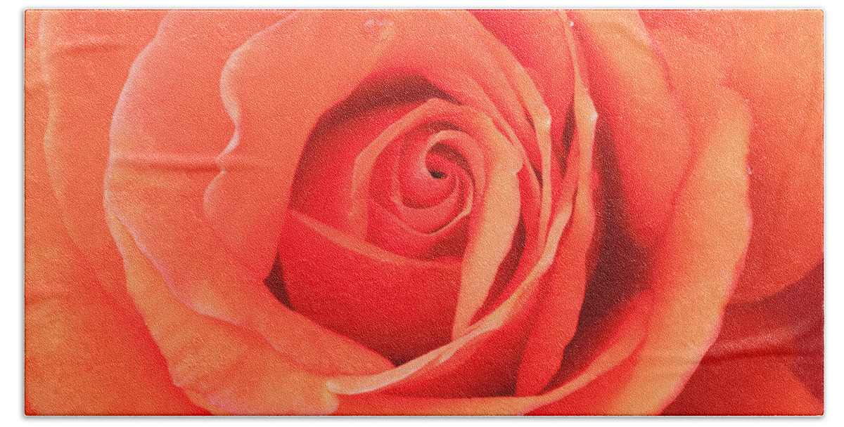 Heart Of A Rose Bath Towel featuring the photograph Heart of a Rose by Patty Colabuono