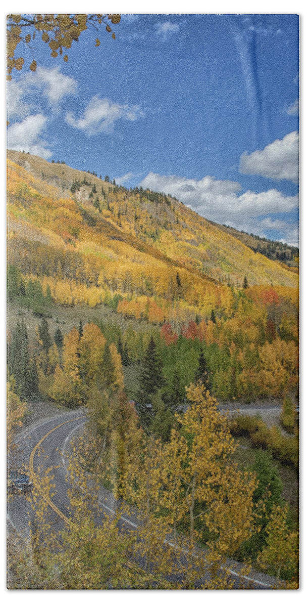 Aspens Hand Towel featuring the photograph Heavenly Colorado by Tom Kelly