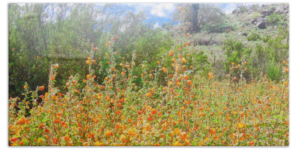 Globemallow Hand Towel featuring the photograph Heavenly Home in Arizona by Judy Kennedy