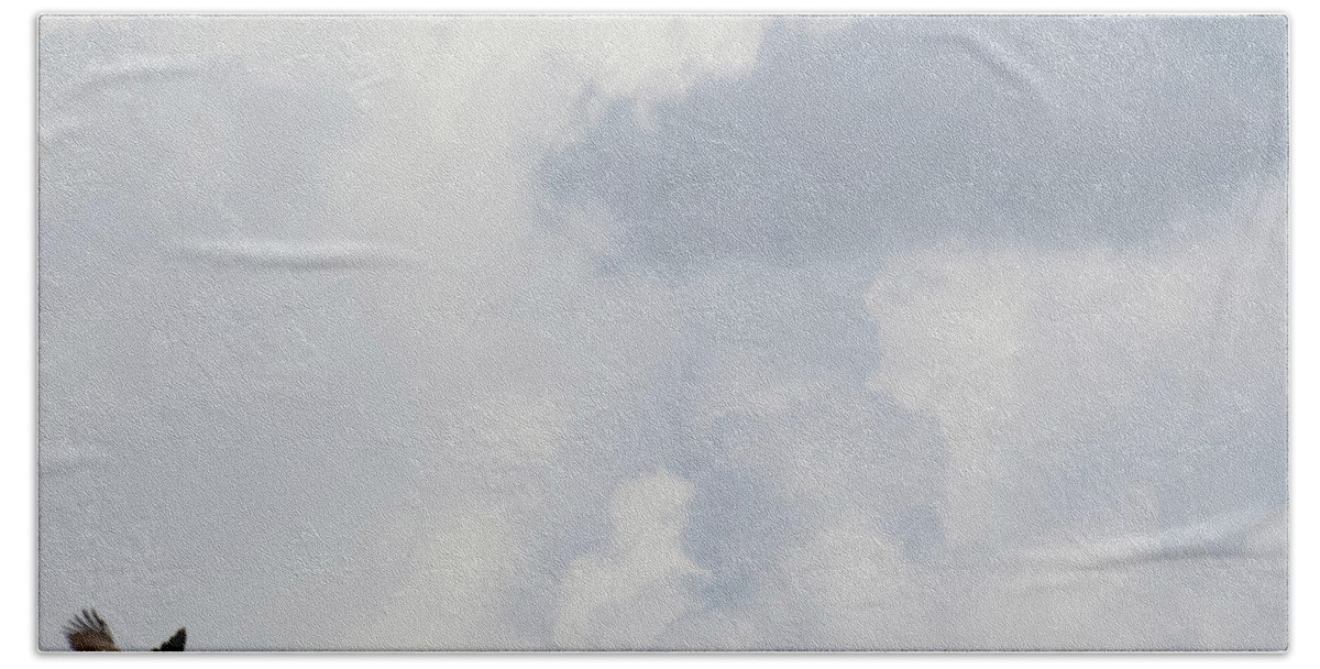 Crane Bath Towel featuring the photograph Crane in the clouds by Christy Garavetto