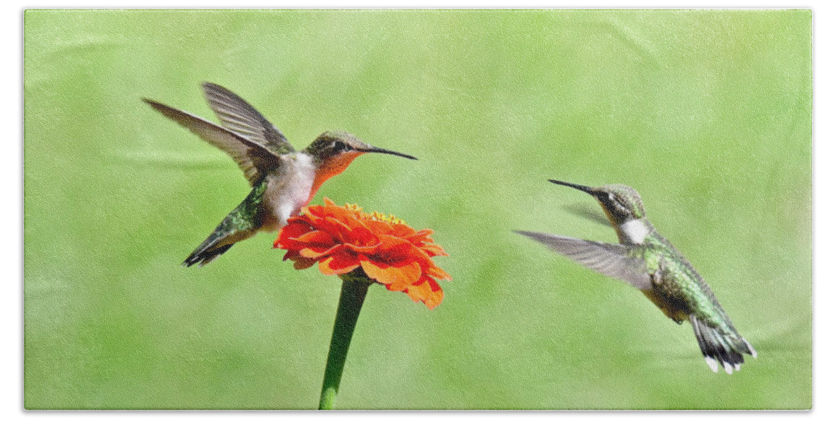 Hummingbird Bath Towel featuring the photograph Hey that is My Flower 7372 by Michael Peychich