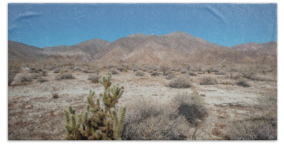 Anza-borrego Desert State Park Bath Towel featuring the photograph High Desert Cactus by Mark Duehmig