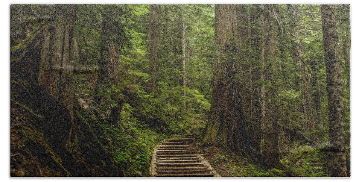 Hiking Trail Bath Towel featuring the photograph Hiking in Mt. Rainier, Washington by Julieta Belmont