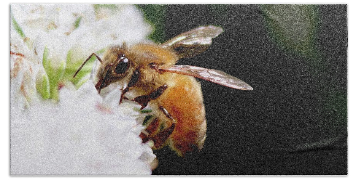 Honeybee Bath Towel featuring the photograph Honeybee by Sarah Lilja
