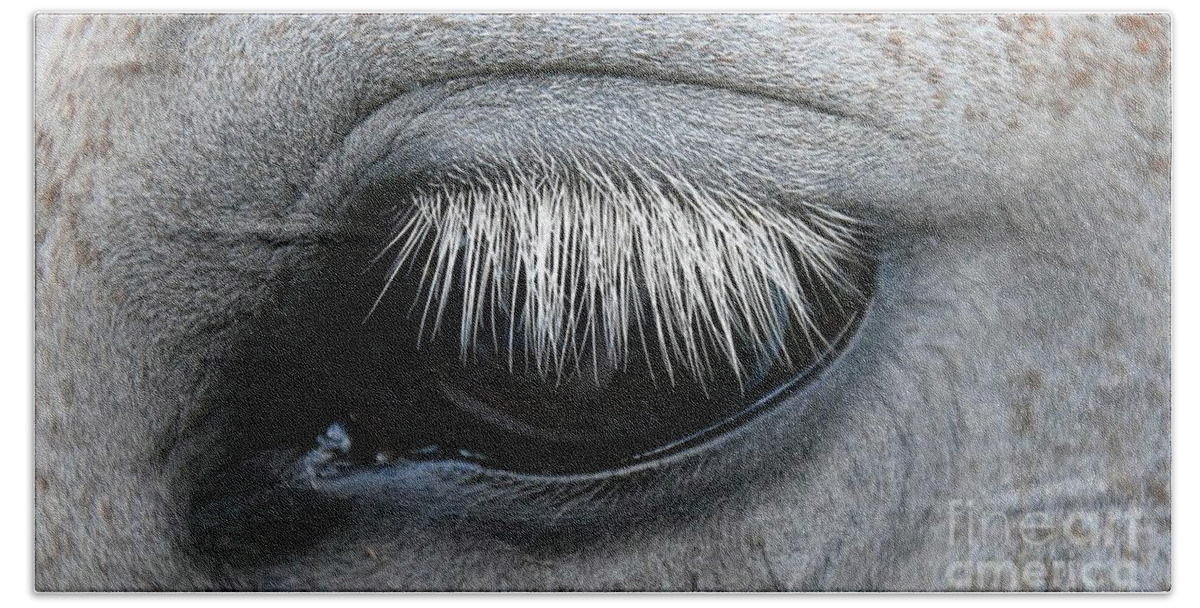 Ultra Hd Bath Towel featuring the photograph Horse Eye Close Up Ultra HD by Hi Res
