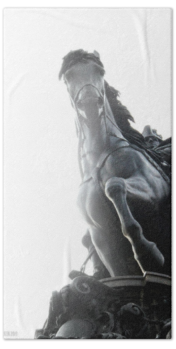 Philadelphia Bath Towel featuring the photograph Horse by Kynn Peterkin
