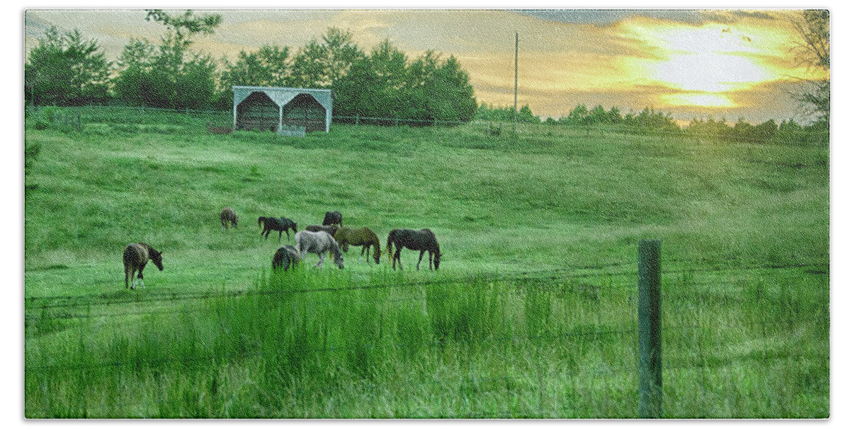 Horses Hand Towel featuring the photograph Horses at Sunset by Michael Frank