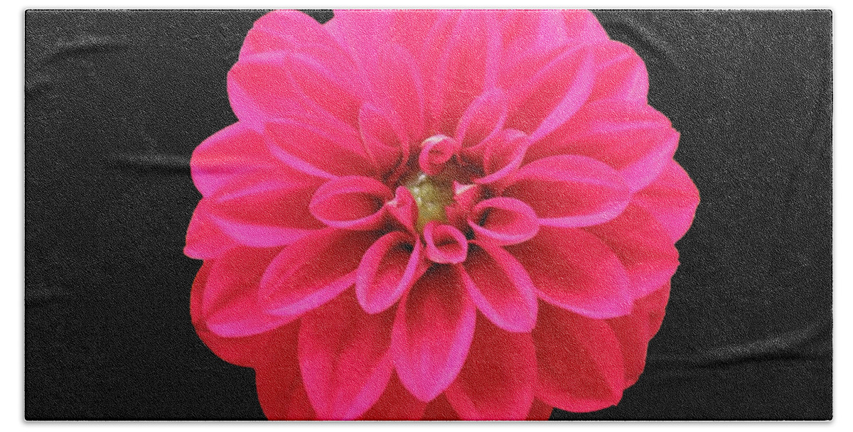 Red Hand Towel featuring the photograph Hot Red Summer Dahlia by Johanna Hurmerinta
