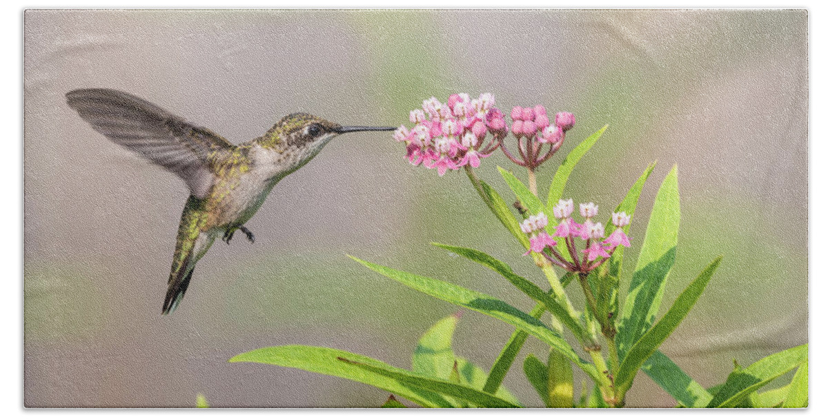 Ruby-throated Hummingbird Hand Towel featuring the photograph Hummingbird 2018-1 by Thomas Young