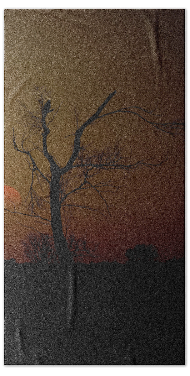 Sunset Hand Towel featuring the photograph I Alone by Aaron J Groen