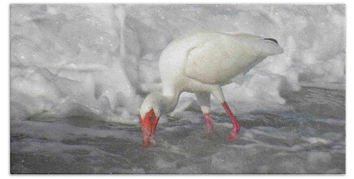 Ibis Hand Towel featuring the photograph Ibis and a Tinted Sea by Rosalie Scanlon