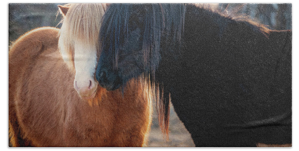 Iceland Bath Towel featuring the photograph Icelandic Horse Love by Kathryn McBride
