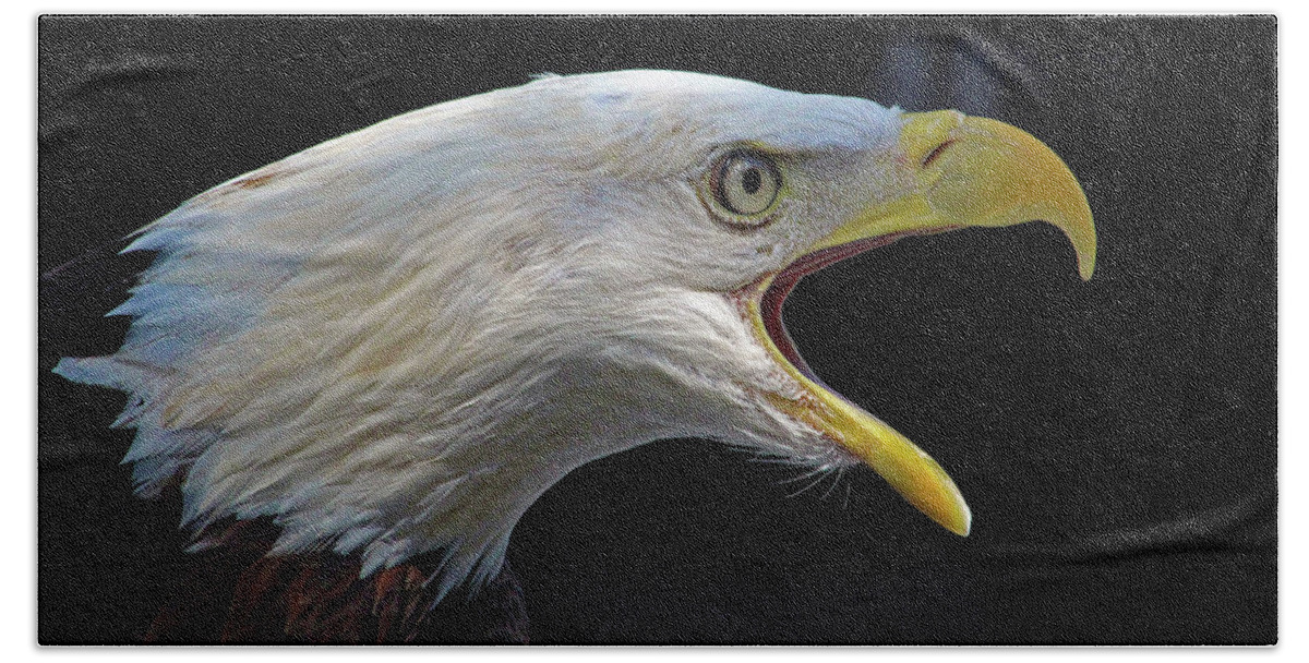 Bald Eagle Bath Towel featuring the photograph If You Want to Be Free, Be Free by Michael Allard