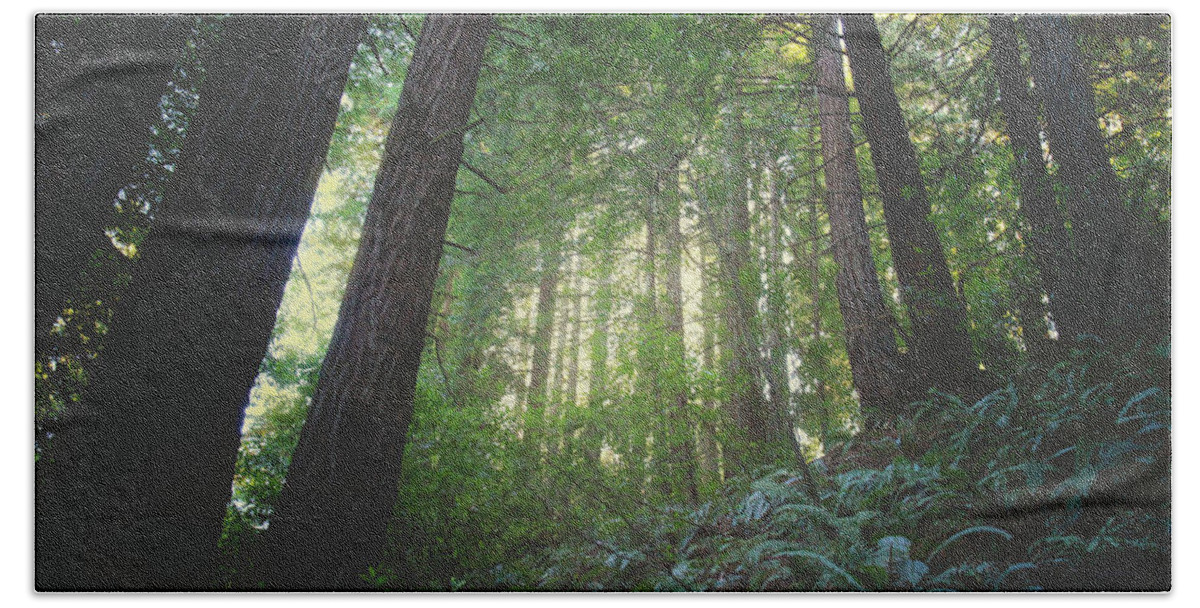 Redwood Regional Park Bath Towel featuring the photograph I'll Still Be Loving You by Laurie Search