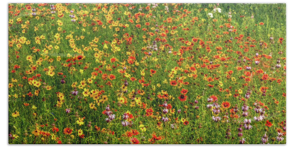 Texas Wildflowers Hand Towel featuring the photograph Indian Blanket Spring by Johnny Boyd