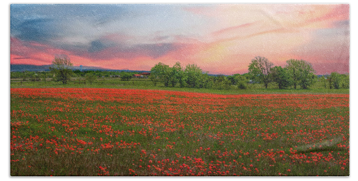  Postcards From Texas Hand Towel featuring the photograph Indian Paintbrush Field by G Lamar Yancy