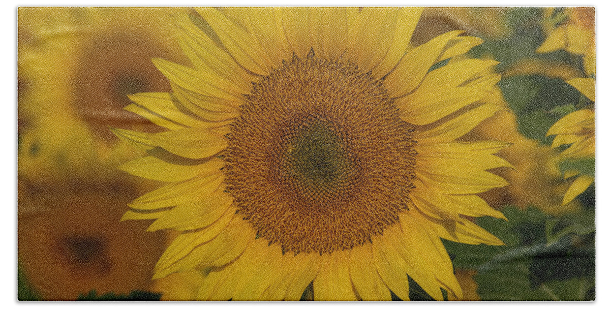 Intricate Design Of The Sunflower Bath Towel featuring the photograph Intricate design of the sunflower by Lynn Hopwood