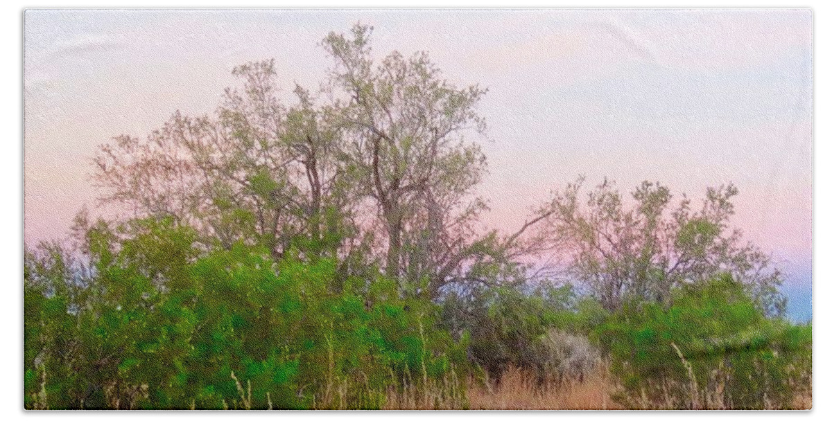 Affordable Hand Towel featuring the photograph Ironwood Trees After Sundown by Judy Kennedy