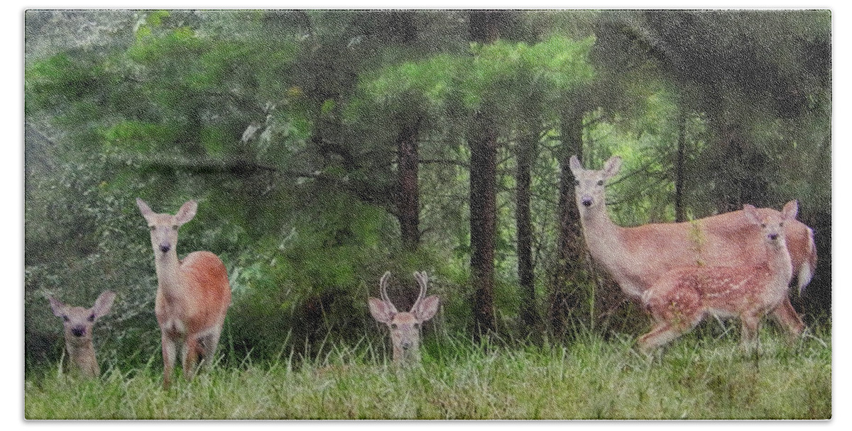 Deer Bath Towel featuring the photograph I've Been Spotted by Michael Frank