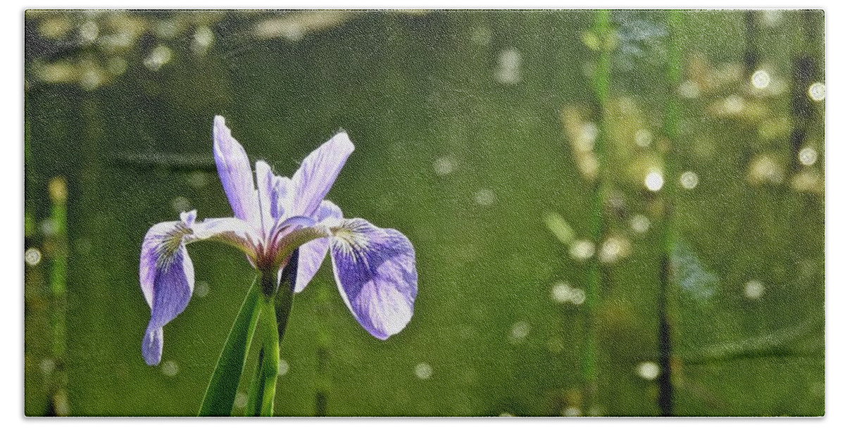 Iris Hand Towel featuring the photograph Japanese Iris By The Water by Kathy Chism