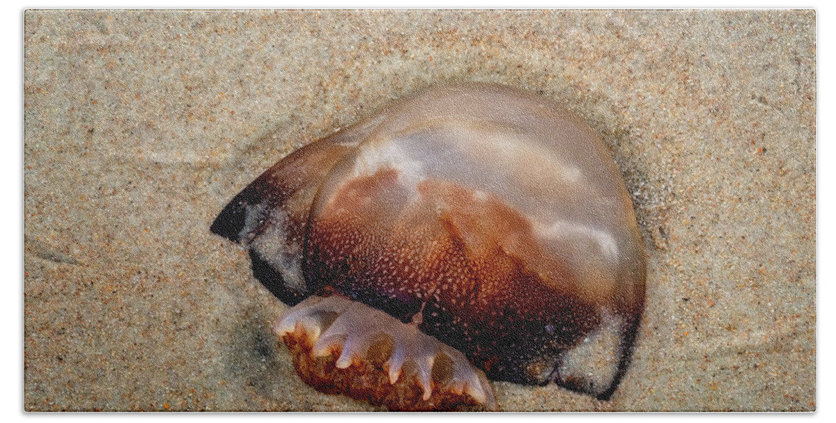  Yard Animals Hand Towel featuring the photograph Jellyfish On The Beach by Tom Singleton