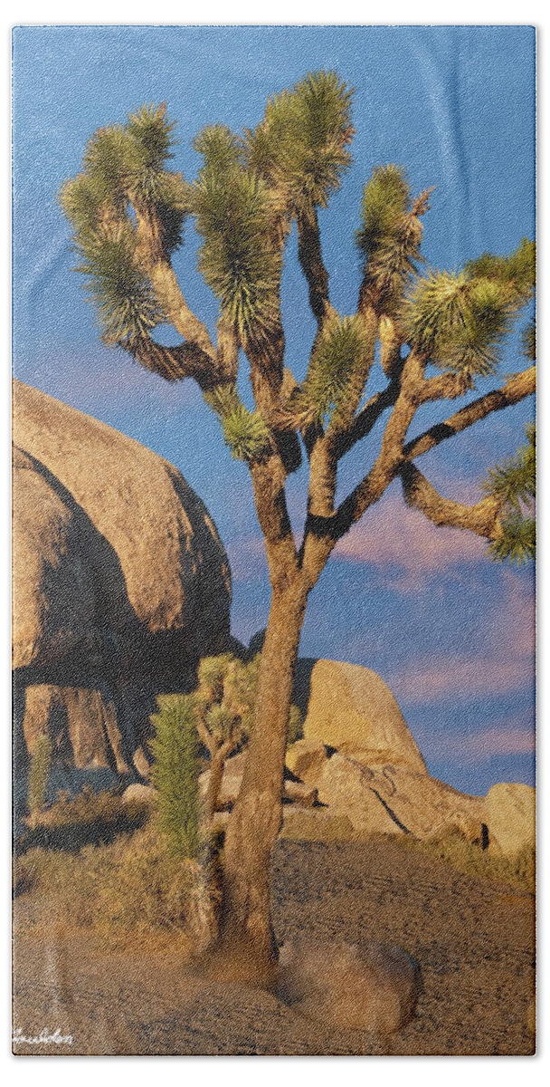 Agave Bath Towel featuring the photograph Joshua Tree at Cap Rock by Jeff Goulden