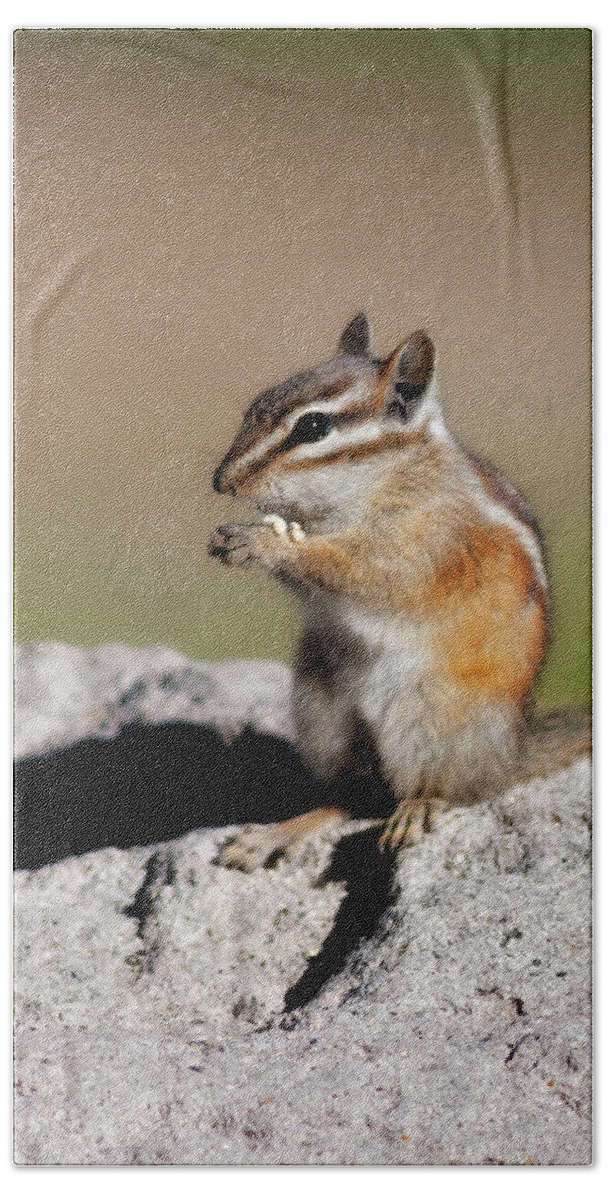 Alone Hand Towel featuring the photograph Just A Little Nibble by Lana Trussell