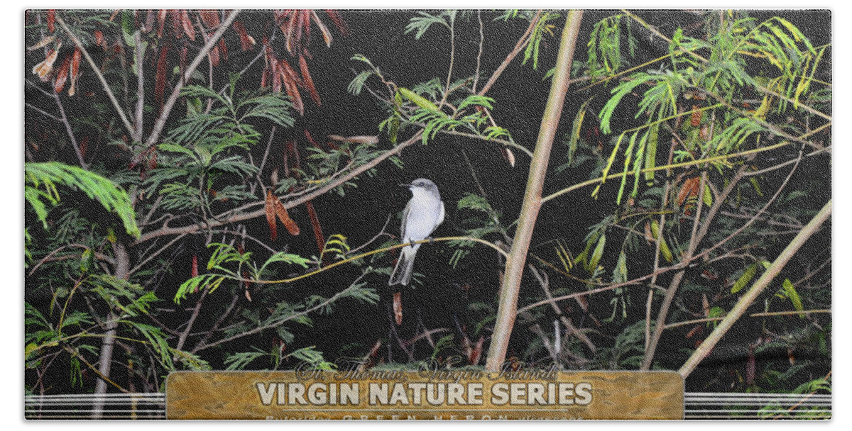 Gray Kingbird Hand Towel featuring the photograph Kingbird in Casha - Virgin Nature Series by Climate Change VI - Sales