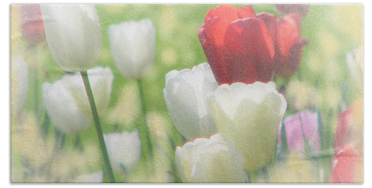 Tulip Hand Towel featuring the photograph Kissed By The Sun by Angela Davies