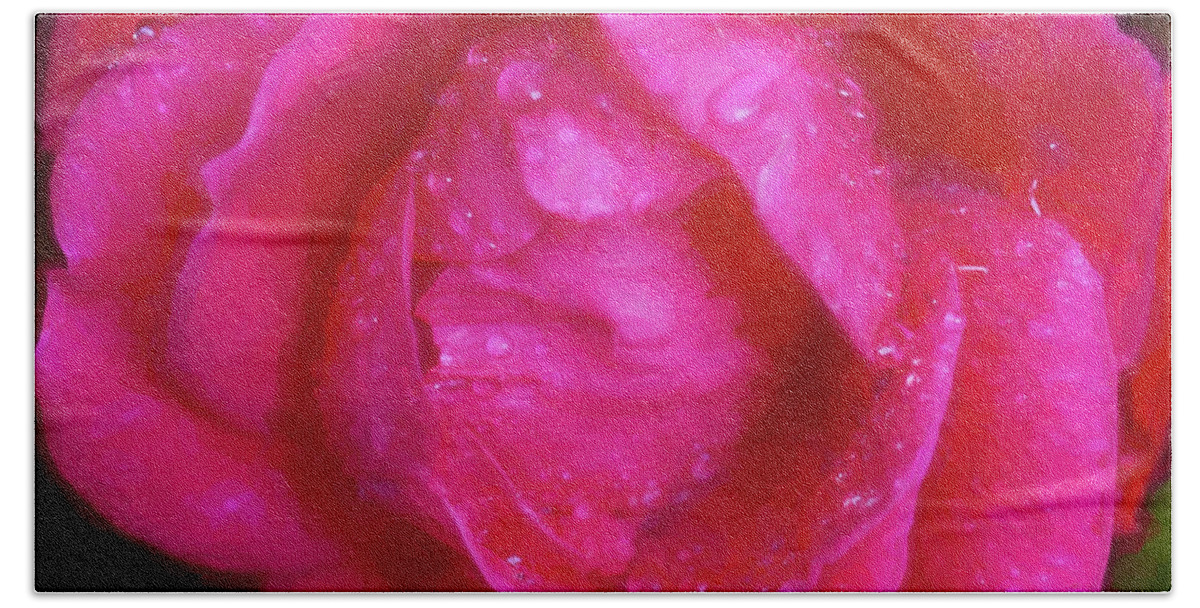 Roses Bath Towel featuring the photograph Knockout Roses 003 by Rich Franco