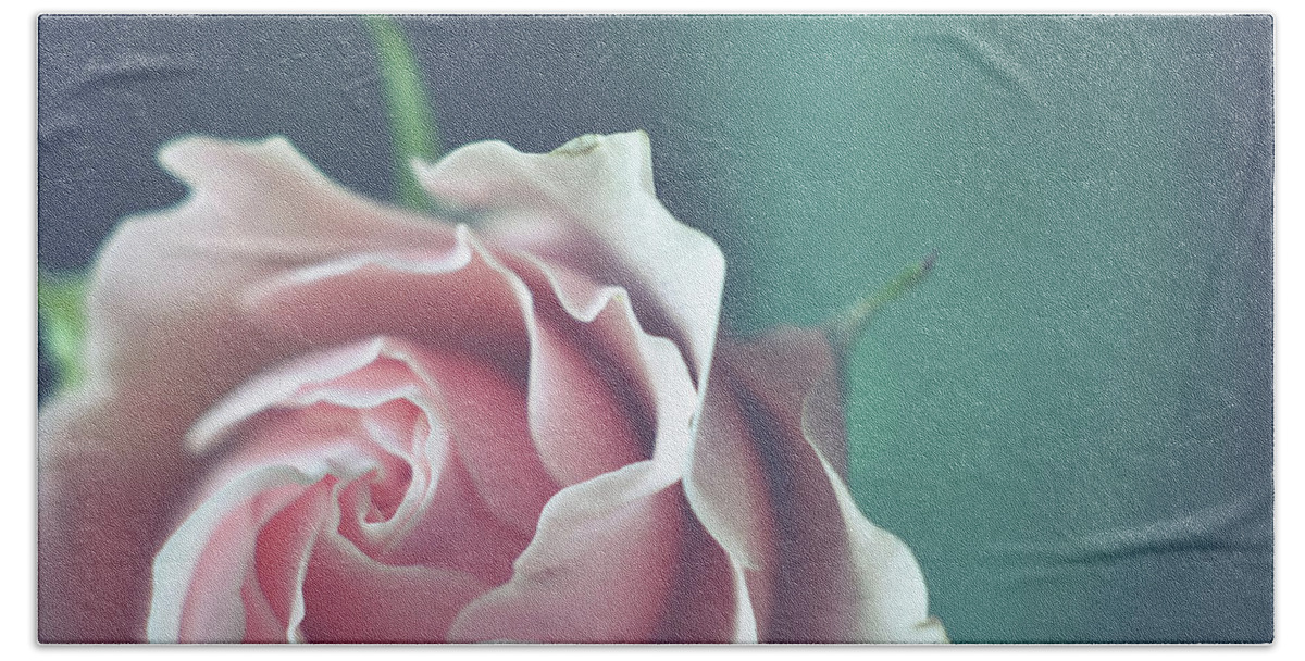 Pink Rose Bath Towel featuring the photograph Lately by Michelle Wermuth