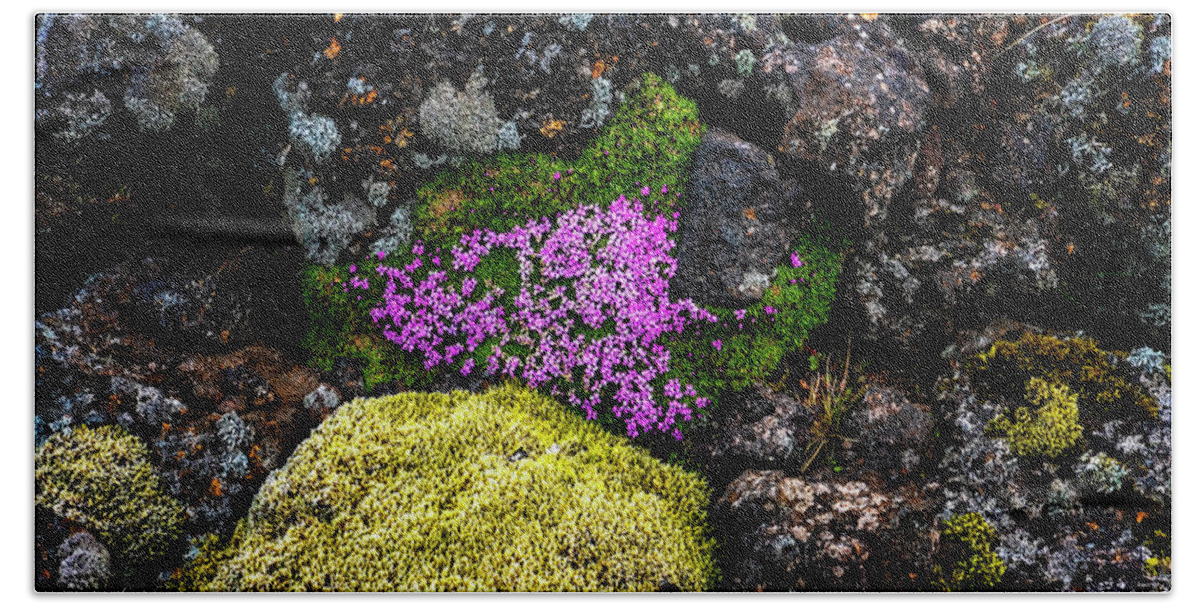 Iceland Bath Towel featuring the photograph Lava Rocks And Flowers by Tom Singleton