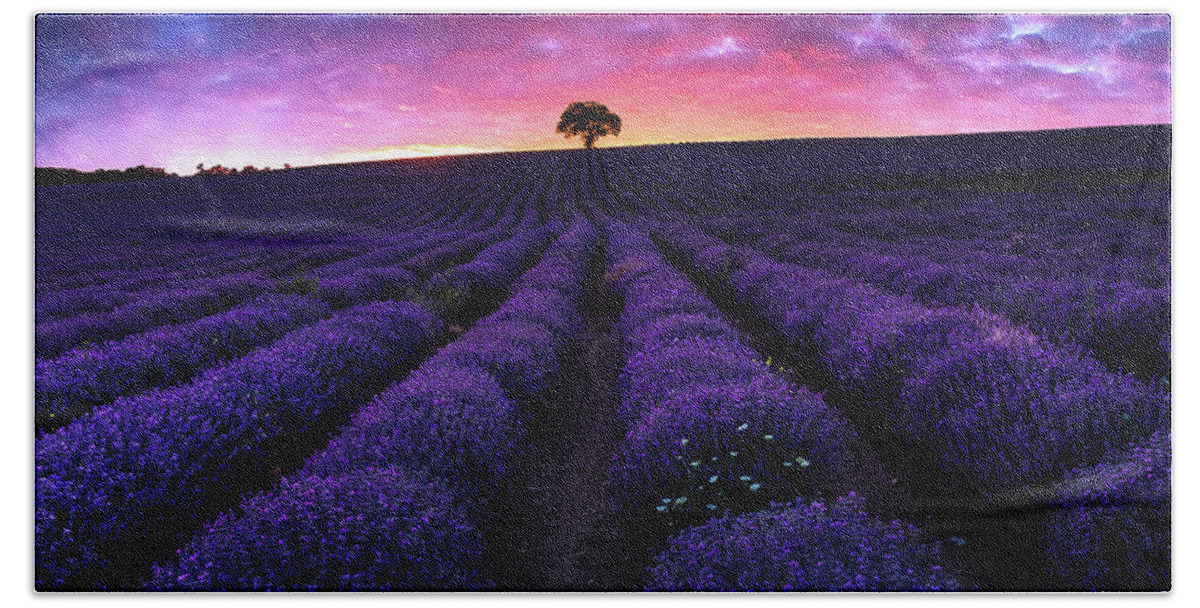 Afterglow Hand Towel featuring the photograph Lavender Dreams by Evgeni Dinev