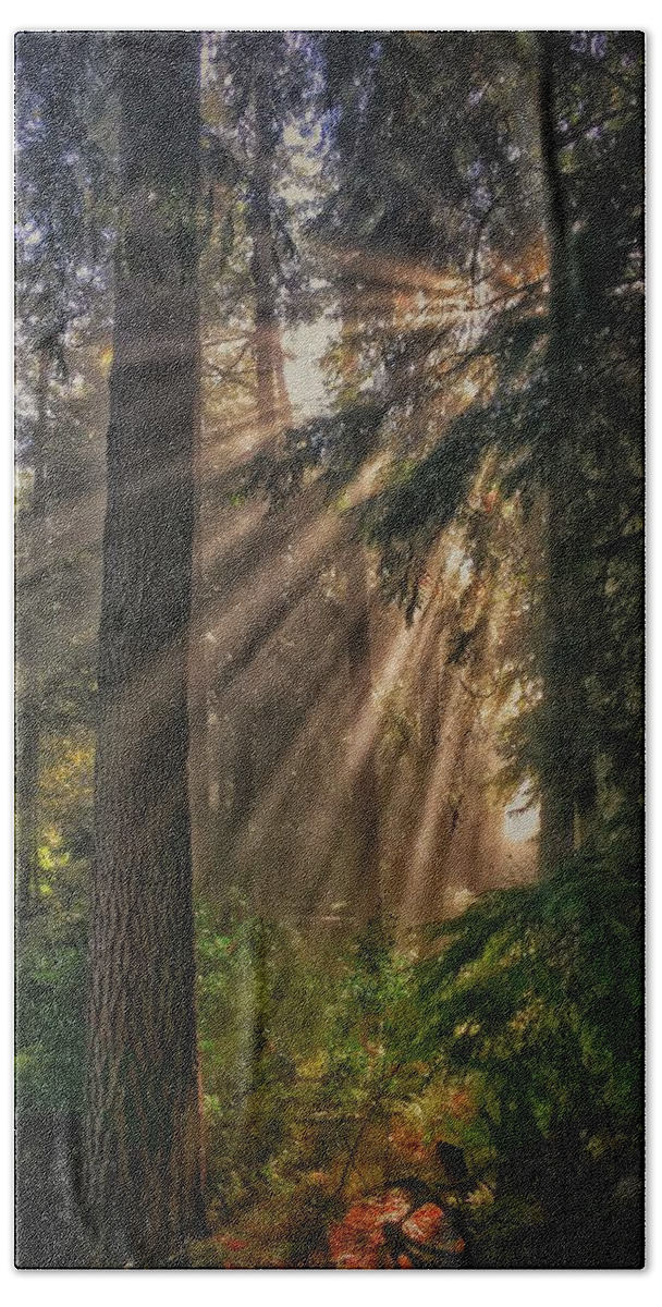 Forest Hand Towel featuring the photograph Let There Be Light by Jerry Abbott